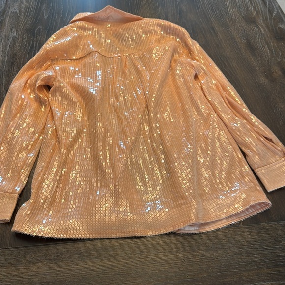 🟣 7 FOR ALL MANKIND PINK SEQUIN BUTTON DOWN BLOUSE SIZE SMALL - Picture 7 of 8